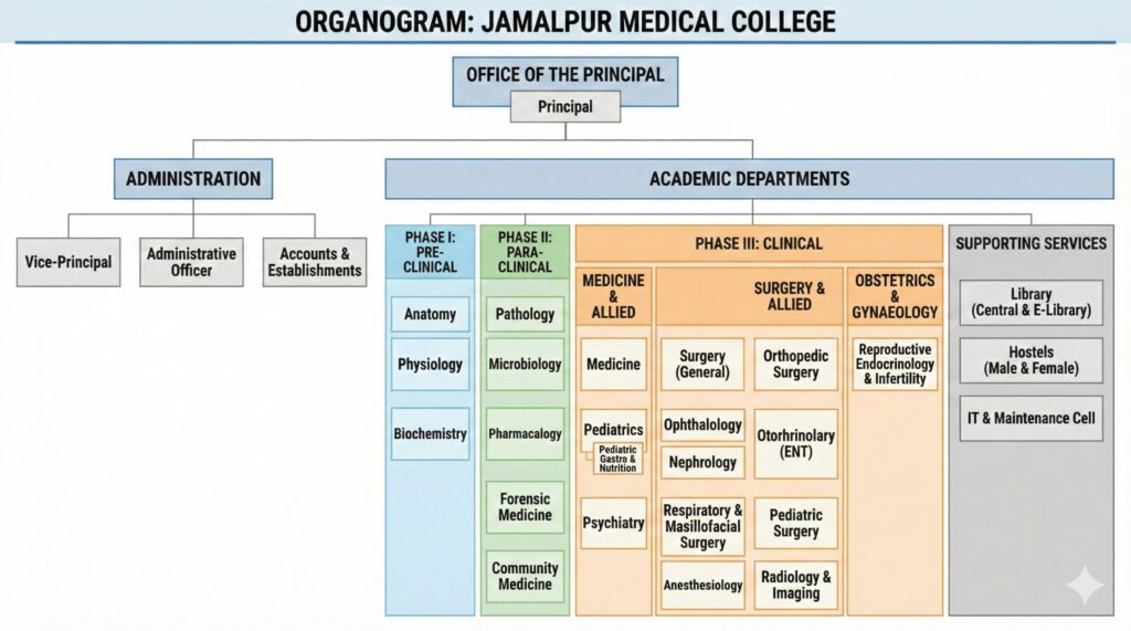 Official Organogram Chart â€” Jamalpur Medical College